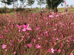 -汉长安城未央宫国家考古遗址公园