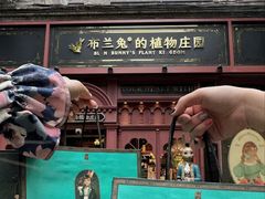 -布兰兔的植物庄园(杭州南宋御街店)