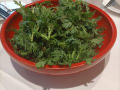 老醋茼蒿-山东老家(黄埔分店)