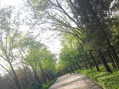-森林公园(尖草坪区)
