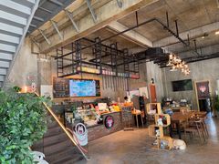 -了不起的考拉咖啡店(高新店)