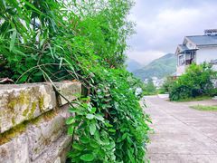 -黄山翡翠谷景区