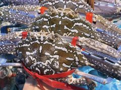 -学府海鲜批发市场