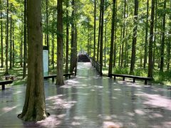 -黄海国家森林公园