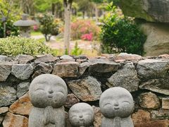 -东莞植物园