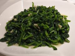 蒜泥炒豆苗-新海利海鲜城·41年珠海老字号(夏湾店)