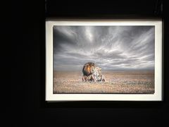 -罗红摄影艺术馆