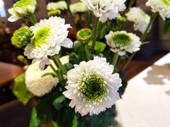 -香草意餐厅(杏石口路店)