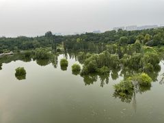 -北京园博大酒店