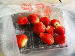 -gaga(深圳南山益田假日广场店)