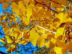 -长春公园(普阳街道)