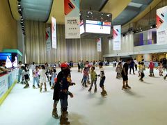 -冰纷万象滑冰场(二七万象城店)