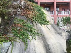 -石峰岩寺