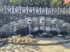-蝴蝶泉公园