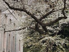-东京国立博物馆