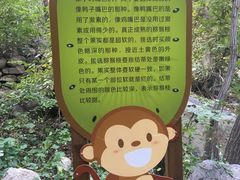 -大岭沟猕猴桃谷风景区