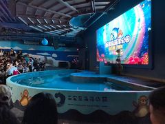 -石家庄海洋公园