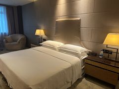 -西安赛瑞喜来登大酒店