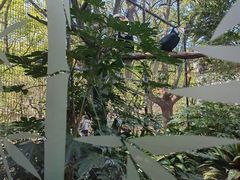 -COMMUNE幻师(五角场店)