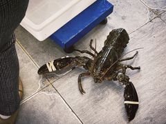 -柒柒海里·平价海鲜·蒸汽·家宴(金沙滩店)