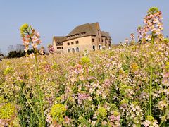 -中国天府农业博览园