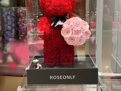 -ROSEONLY诺誓(磐基中心店)
