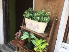 -狐狸家·酸奶酪专门店(平江路店)