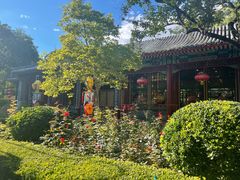 -白家大院·王府宫廷菜(苏州街店)