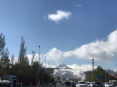 -西藏自治区图书馆