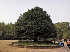 -灵谷景区