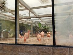 -石家庄市动物园