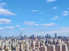 -环球港凯悦 · 享悦中餐厅