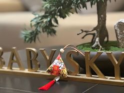 点击看大图 -裕月馨月子中心(滨江店)