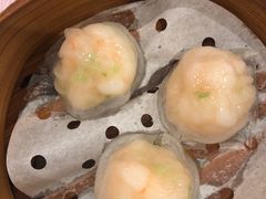 -粤珍轩·家宴·广式茶点(新城广场店)