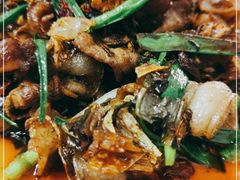 -灯盏窝饭店(新都分店)