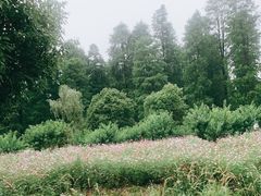 -渌洋湖湿地公园