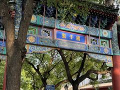 -北京国子监胡同