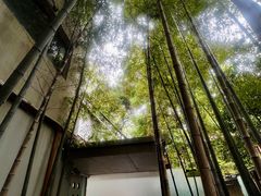 -穹六人间 people 6(岳阳路店)