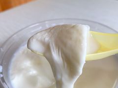 双皮奶-精精化州糖水(港澳商业城店)