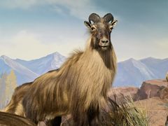 -陕西自然博物馆