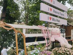 -HERRE·FARM 赫尔露营农场·团建聚会包场