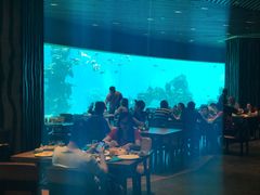 -海棠湾洲际-涛·海底餐厅·美人鱼·自助餐·海底隧道
