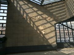 -西安大唐西市博物馆