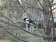 -中央财经大学沙河校区-图书馆