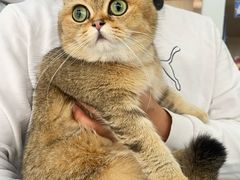 -宠颐生宠物医院外科·内科·皮肤科·影像科(石龙店)