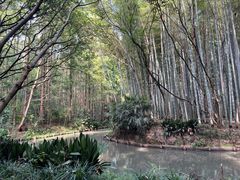 -同里国家湿地公园