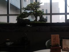 -同庆楼(天鹅酒家店)