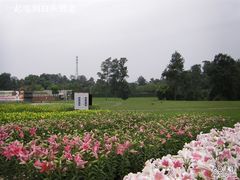 -保利石象湖景区