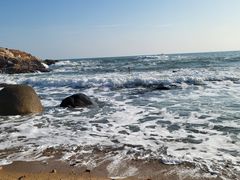 -广东惠东海龟国家级自然保护区