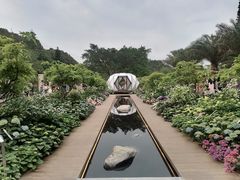 -深圳仙湖植物园